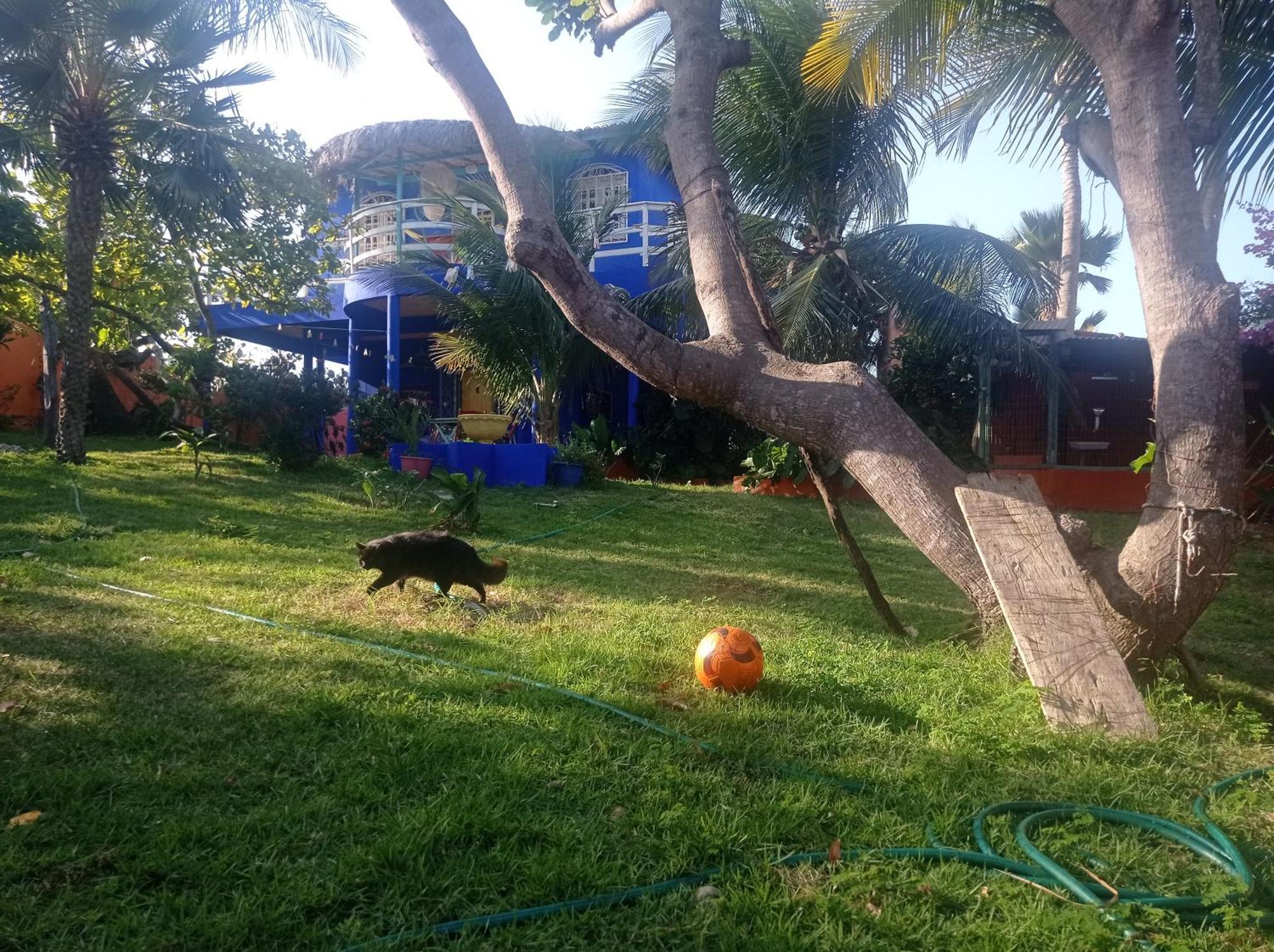 Charming Blue House With Kitchen Parking And Garden Canoa Quebrada Exterior foto